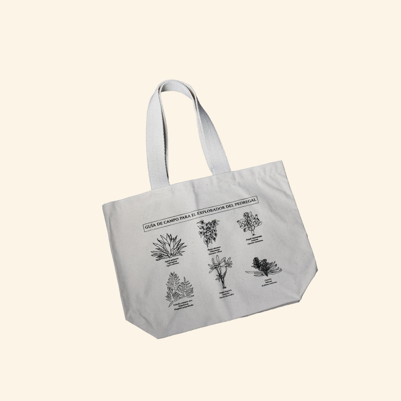 Bolsa Pedregal