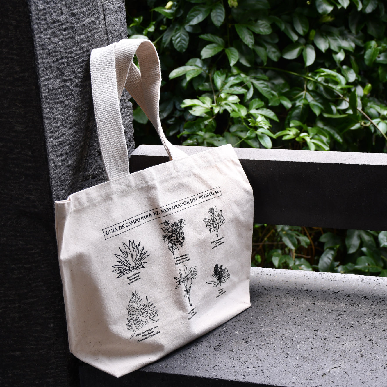 Bolsa Pedregal