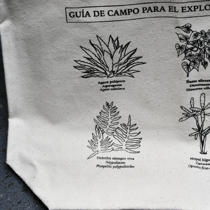 Bolsa Pedregal