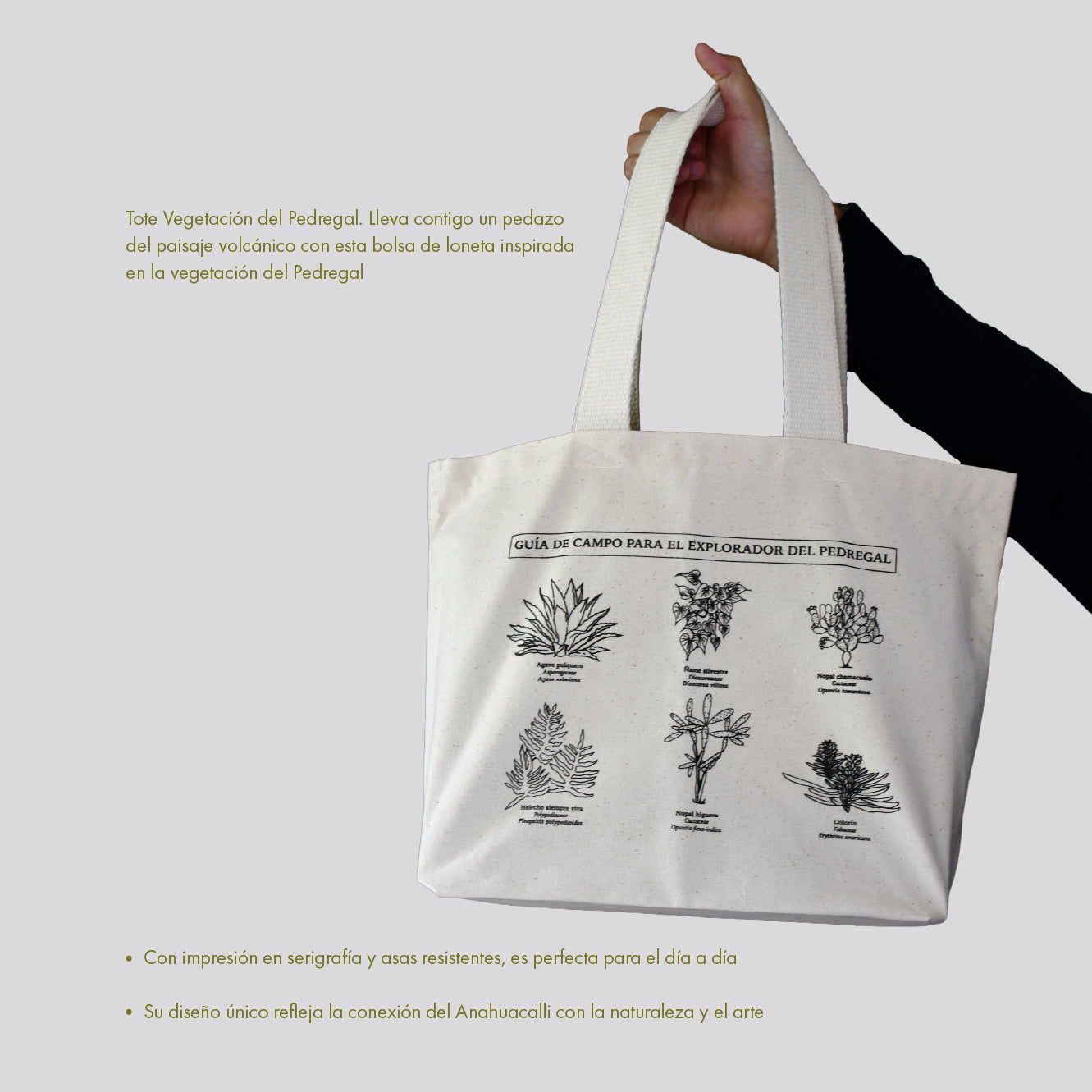 Bolsa Pedregal