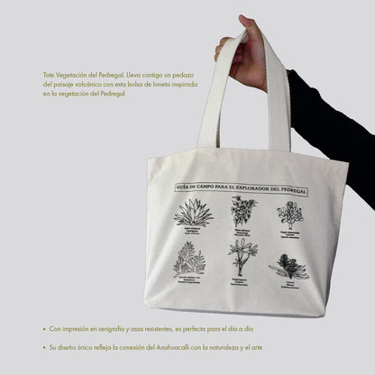 Bolsa Pedregal
