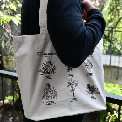 Bolsa Pedregal