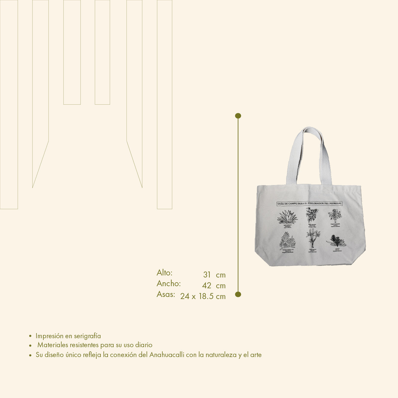 Bolsa Pedregal