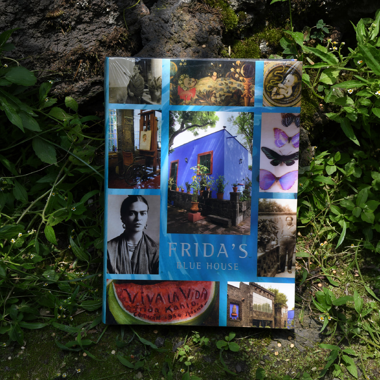 La casa azul de Frida