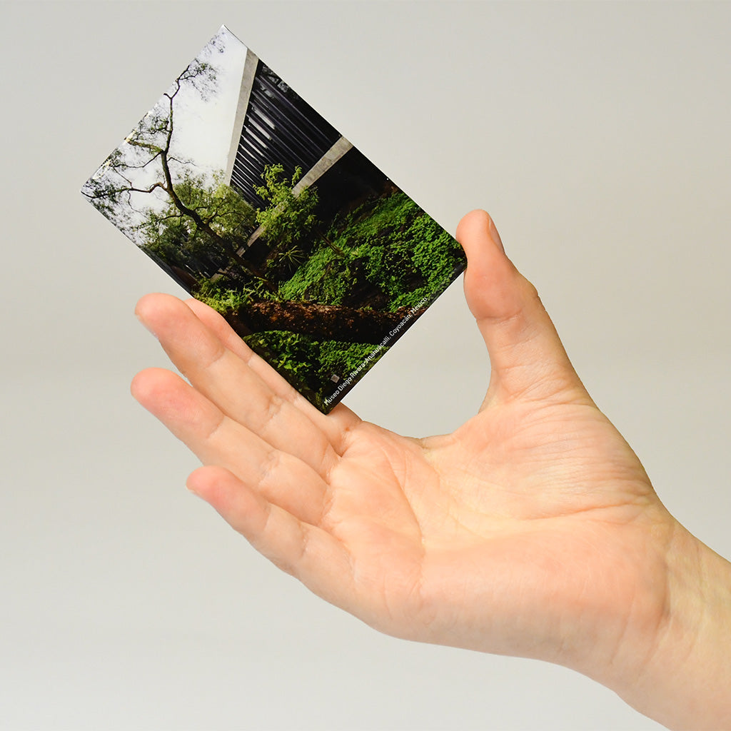 Imán Espacio ecológico